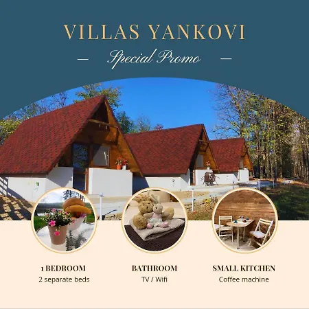 Case de vacanță янкови