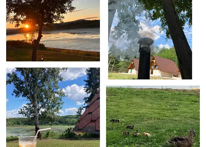 янкови Dobri Dyal