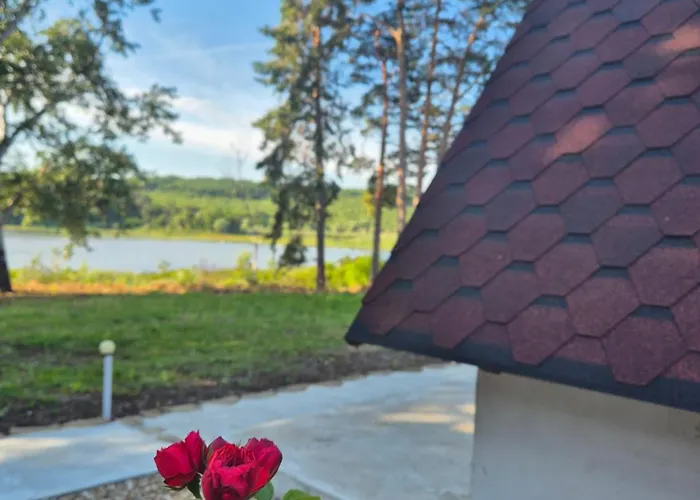 янкови * Dobri Dyal